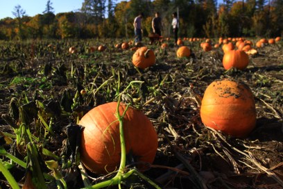 Photo Mélanie Rembert